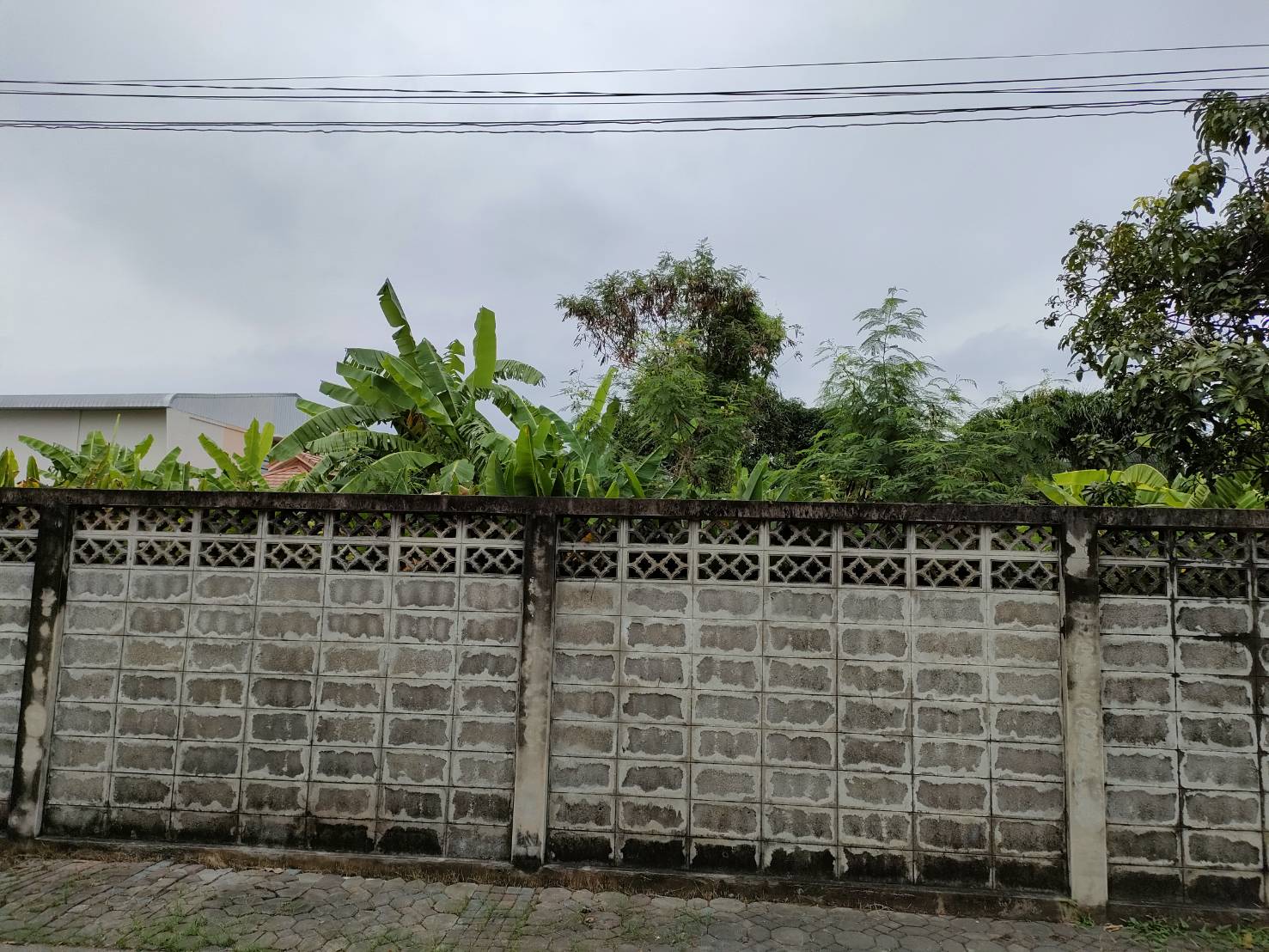 ให้เช่าที่ดินเปล่าถมแล้วในถนนมัยลาภ กรุงเทพมหานคร